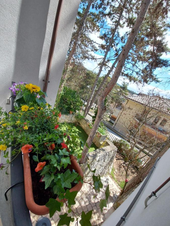 La Pineta - Delightful Small Apartment Near The City Center LʼAquila Exterior foto