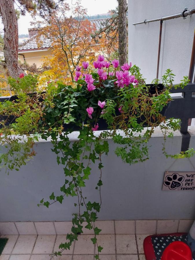La Pineta - Delightful Small Apartment Near The City Center LʼAquila Exterior foto